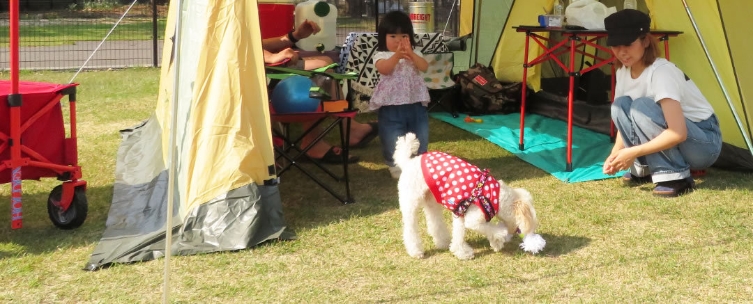 犬同伴キャンプサイト